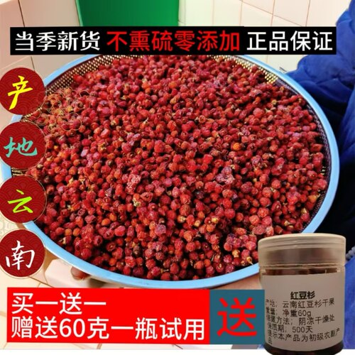 云南红豆杉果子野生干果实含紫杉醇红豆杉干果中药材泡酒当年新果