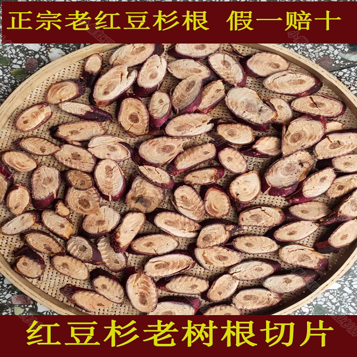 红豆杉根红豆杉树根含紫杉醇南方红豆杉果子树根皮中药材500g包邮