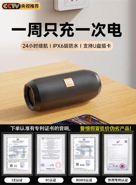德国进口柏林之声蓝牙音