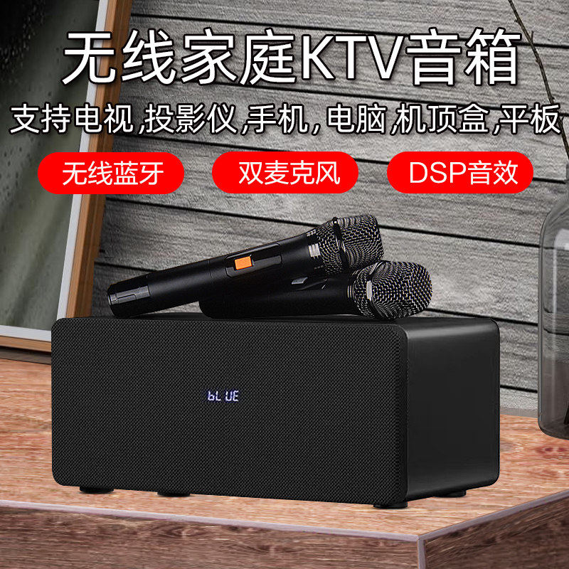 德国进口柏林之声麦巢音
