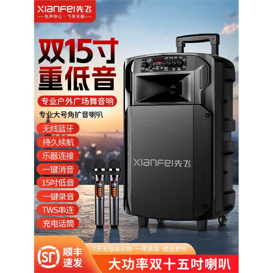 德国进口柏林之声广场舞蓝牙音响户外K歌拉杆音箱店铺专用家用KTV