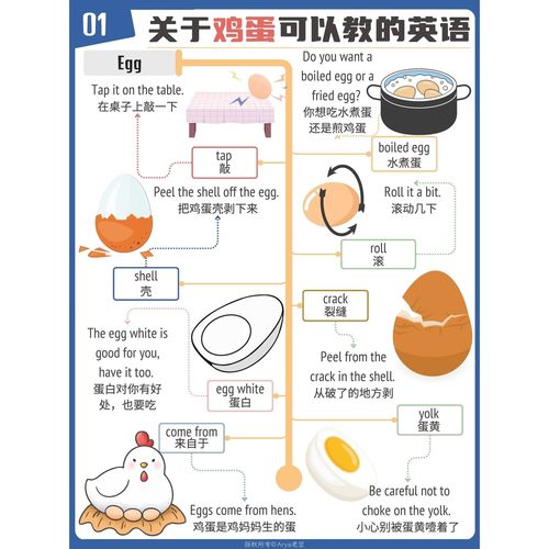 启蒙课《见物能聊》100个常见物品亲子英语词汇可打印图片+音视频
