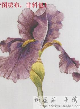 PURPLW BEARDED IRIS 鸢尾 手工刺绣图谱免画图绣布带图绣片绣布