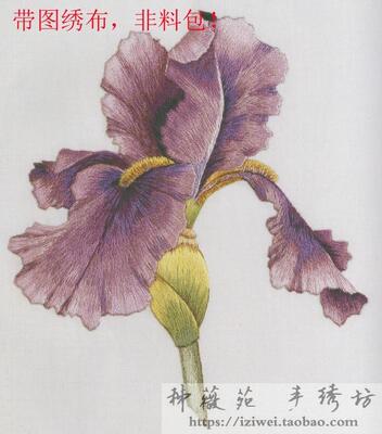 PURPLW BEARDED IRIS 鸢尾 手工刺绣图谱免画图绣布带图绣片绣布