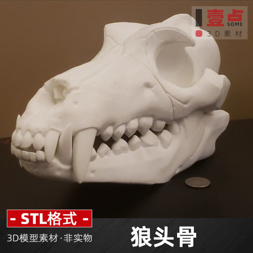 狼头骨stl格式文件模型三维图纸3d打印圆雕图立体图素材