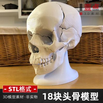 头骨模型stl格式素材3D打印图纸圆雕骷髅头三维模型素材数据文件