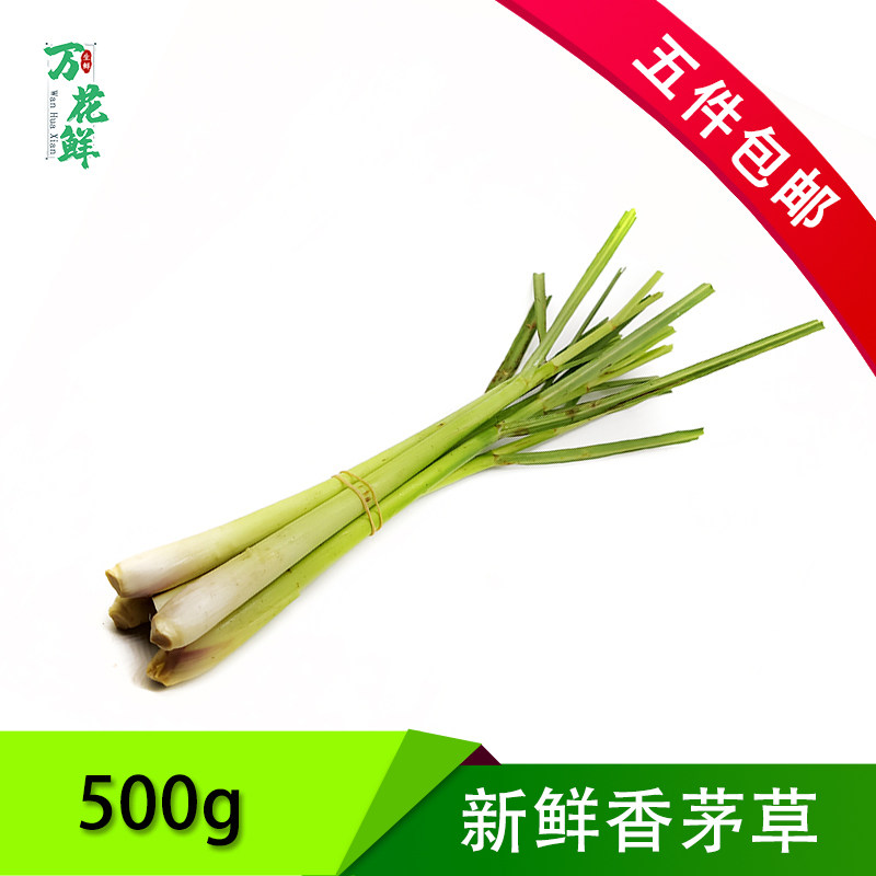 新鲜香茅500g 柠檬草泰国冬阴功汤泰式料理调味香料菜奶茶店用品