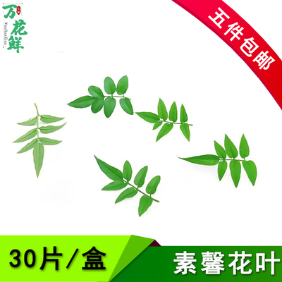 新鲜素馨花叶 30片/盒非幸运星日料西餐酒店餐饮摆盘装饰点缀花草