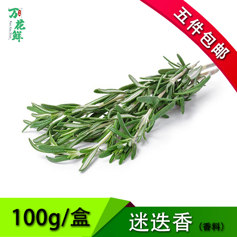 新鲜迷迭香提神醒脑艾香草食用