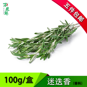 新鲜迷迭香提神醒脑艾香草食用