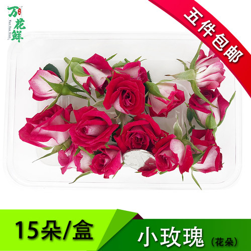 新鲜小玫瑰花朵可食酒店蛋糕装饰