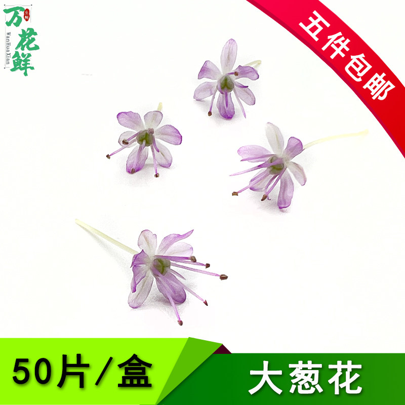 大葱花摆盘装饰食用花