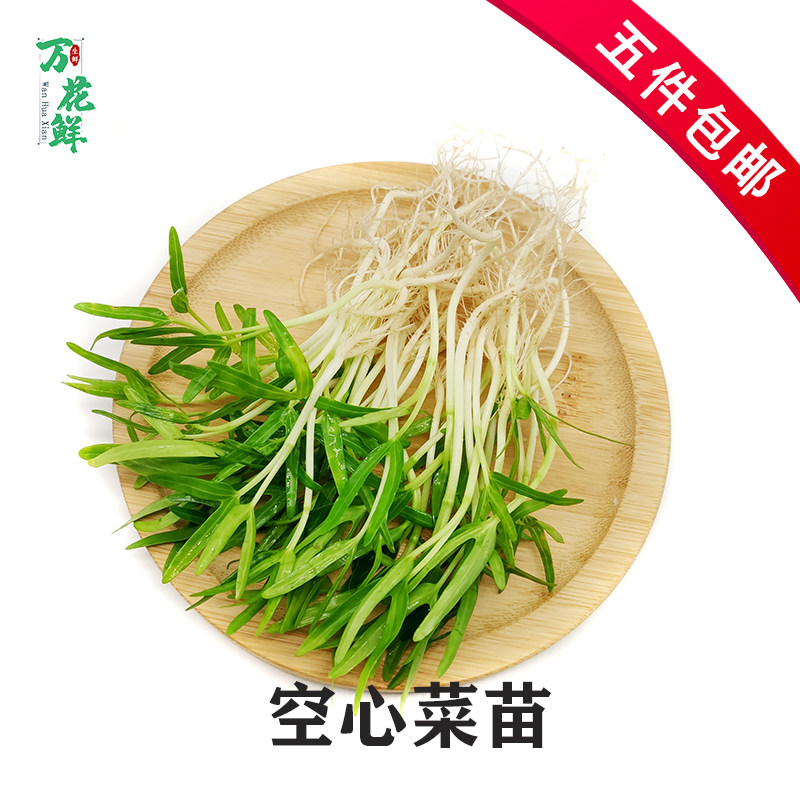 新鲜空心菜苗100g无土可食用