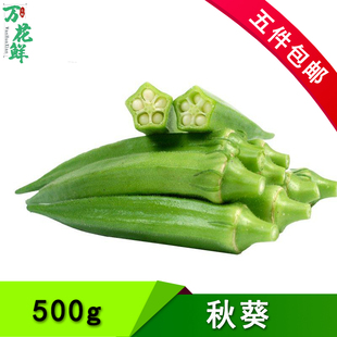 新鲜秋葵500g水果黄秋葵六角羊角豆 当季新鲜采摘农家蔬菜
