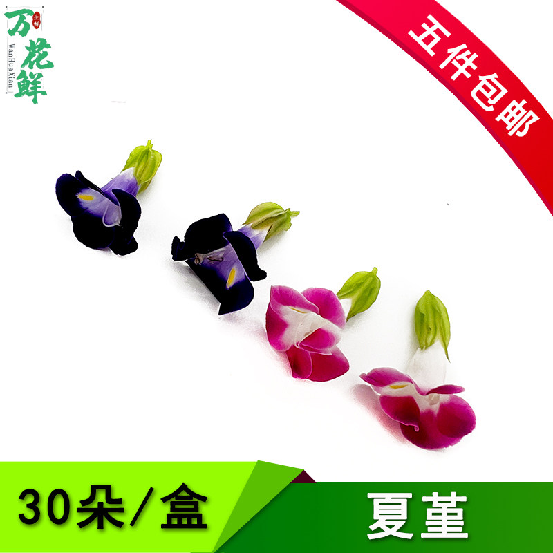 夏瑾摆盘装饰可食用花