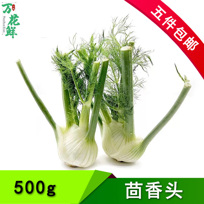 新鲜蔬菜茴香头 球茎茴香根500g 西餐酒店料理食材香料