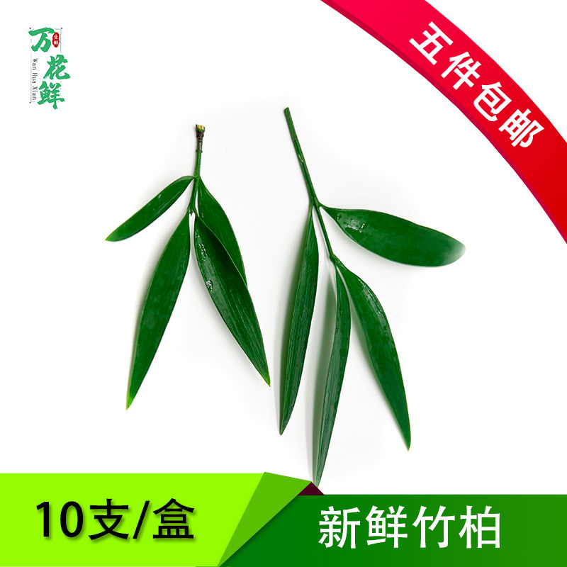 摆盘装饰竹柏冷菜日料