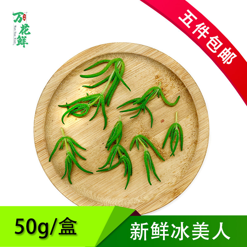 冰美人雪山仙草新鲜采摘50g食用蔬菜沙拉菜西餐烘焙摆盘装饰点缀