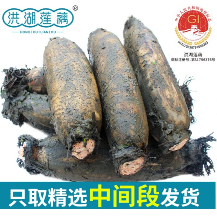 正宗洪湖粉藕5斤新鲜现挖米藕红莲藕老品种粉糯煲汤藕带泥保鲜,水产肉类/新鲜蔬果/熟食,莲藕,淘宝优惠券,粉丝福利购,淘宝优惠卷