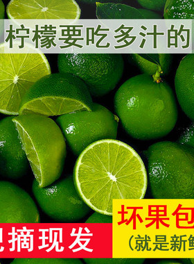无籽香水柠檬5斤装青柠檬
