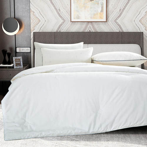 2024年新款冬季保暖蚕丝被