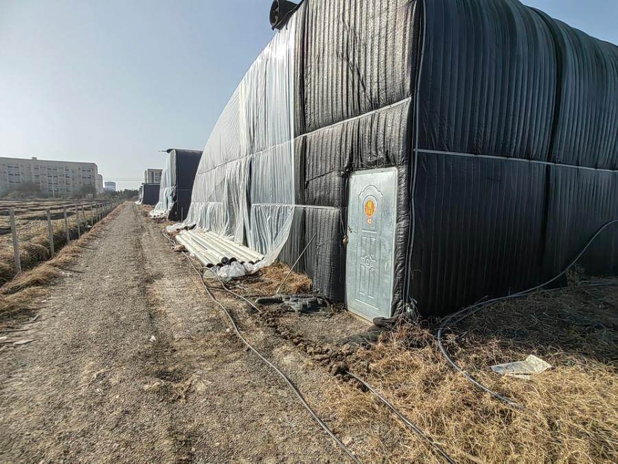 2月4日临沂开发公司“庙山苏通综合智慧高效现代农业产业园”项目资产网络拍卖公告