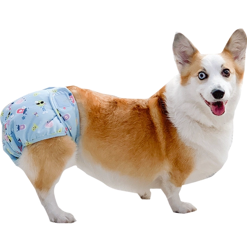 Бизиологические штаны мальчика