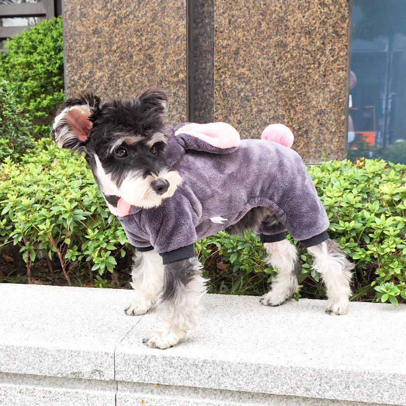 小狗狗秋冬衣服四脚泰迪雪纳瑞约克夏比熊小型犬宠物秋冬款变身装