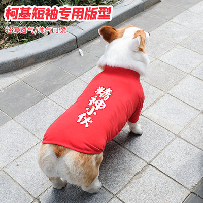 柯基薄款猫咪小型犬法斗比熊