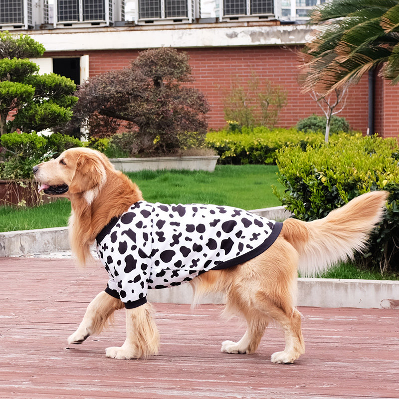 大狗狗衣服秋冬装金毛犬拉布拉多秋天可爱中型犬大型犬冬季萨摩耶