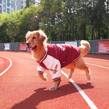 大狗狗衣服秋冬装金毛犬萨摩耶冬季拉布拉多厚款中型犬大型犬冬款