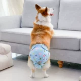 Бизиологические штаны мальчика