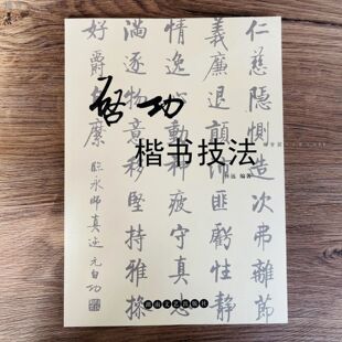 启功楷书技法 名家书法技法 钢笔楷书字帖启功楷书毛笔书法字帖