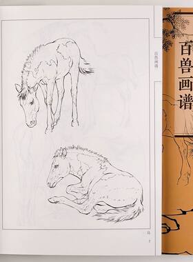 百兽画谱 中国画线描/李学志/白描猫狗 鹿 虎 猴等图集飞禽走兽