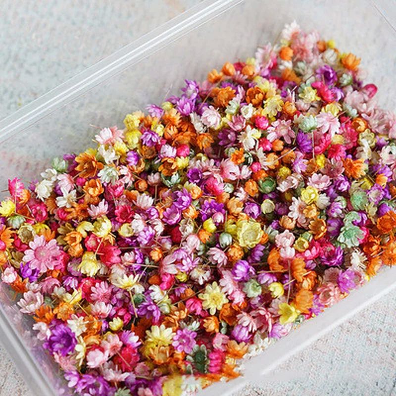 140Pcs/Bag Dried Flowers Diy Art Craft Epoxy Resin Candle Ma 鲜花速递/花卉仿真/绿植园艺 干花 原图主图