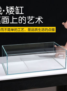 家用超矮超白桌面缸苔藓缸