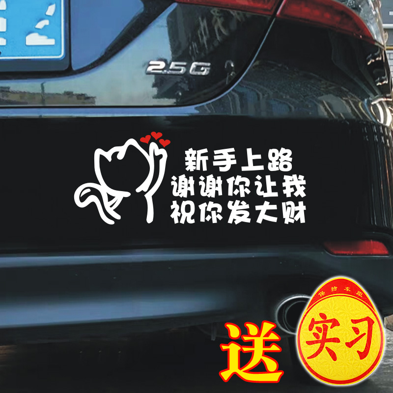 新手个性实习标志女司机车贴