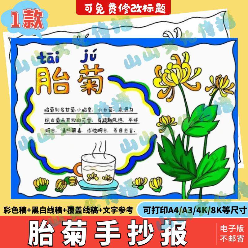 胎菊手抄报模版电子版认识观察植物关于菊花的小报以花为主题线稿