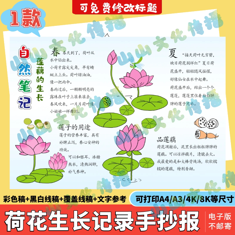 荷花成长观察日记手抄报模板电子版莲花植物生长记录自然笔记小报