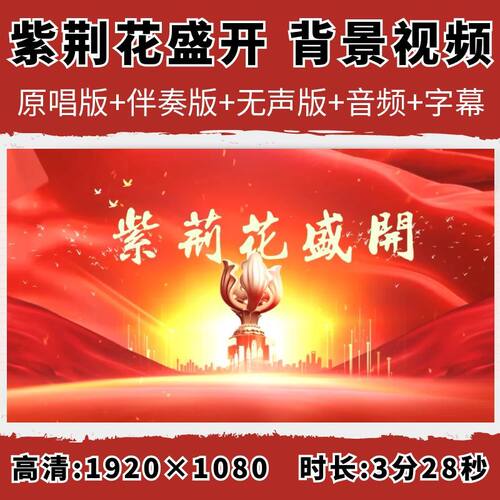 紫荆花盛开背景视频梁咏琪李荣浩伴奏庆祝香港回归带歌词字幕素材