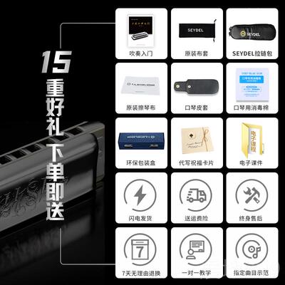 高档德口赛德SEYDE进L者十孔布鲁斯口琴1847国L闪电初学高级专业