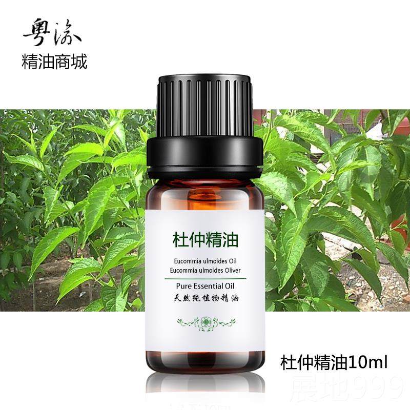 高档杜仲精油纯护单方肩颈腰背腿关节全身按摩开通经体络肤草本植图片
