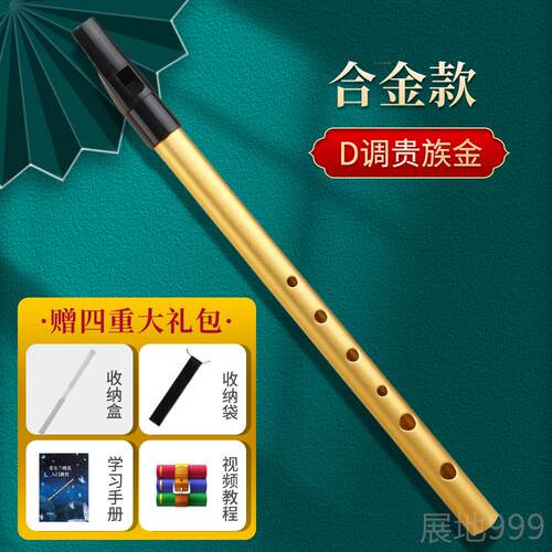 高档爱尔兰笛初学者入门学口生笛孔cd哨调6风笛新款金属竖笛笛子