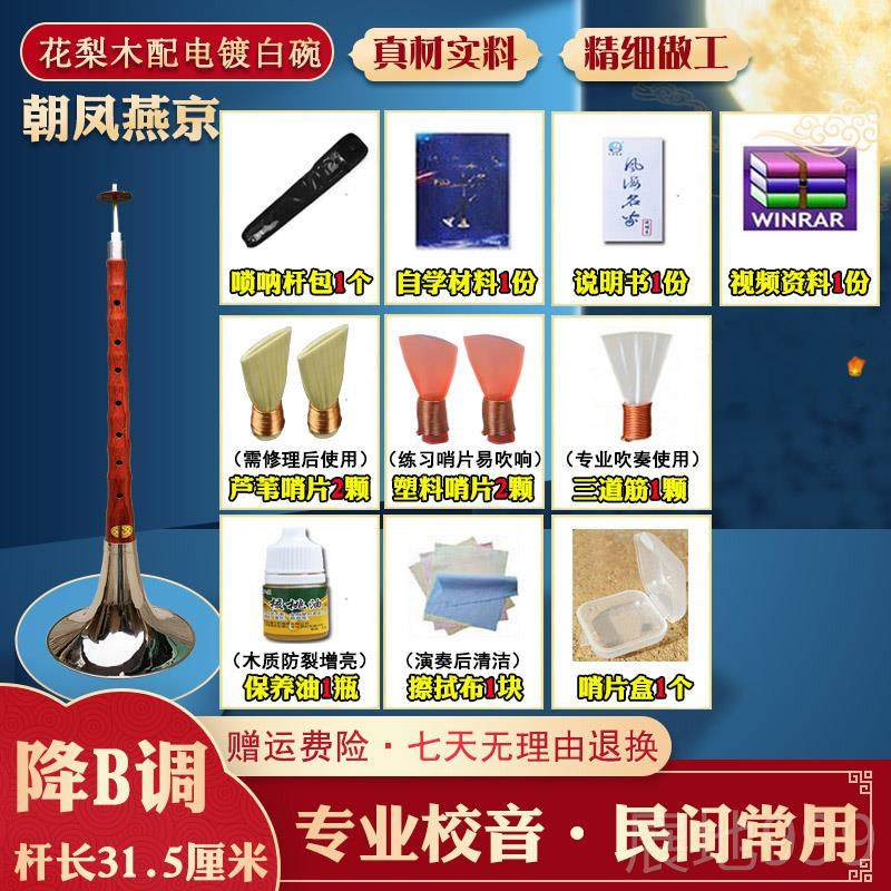高档燕京呐乐器唢全套 业调降B初学者d成人入门C大中专小号喇叭送,乐器/吉他/钢琴/配件,唢呐,淘宝优惠券,粉丝福利购,淘宝优惠卷
