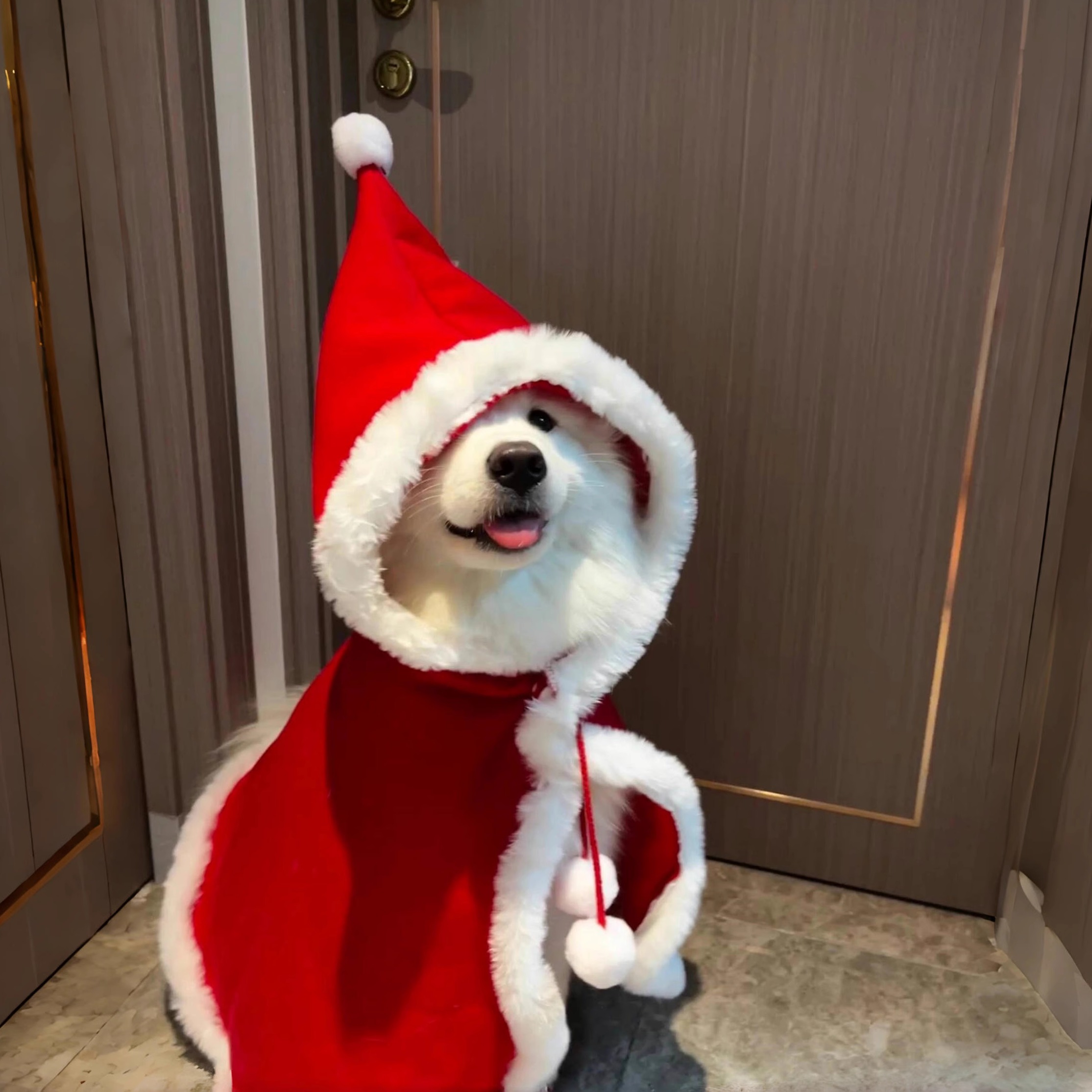 狗狗新年衣服萨摩耶宠物猫咪红衣服披风斗篷元旦春节帽子披肩装扮
