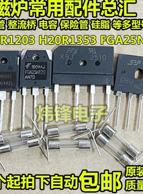 电磁炉维修配件包H20R1203功率管+D25XB80整流桥5uF电容12A保险丝