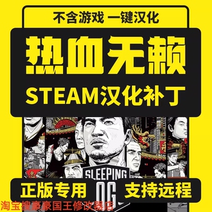 steam热血无赖Sleeping Dogs正版中文汉化补丁电脑PC工具不含游戏