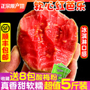 顺丰福建软糯红心芭乐5斤水果软心番石榴奶油蕃鸡屎果新鲜巴乐果