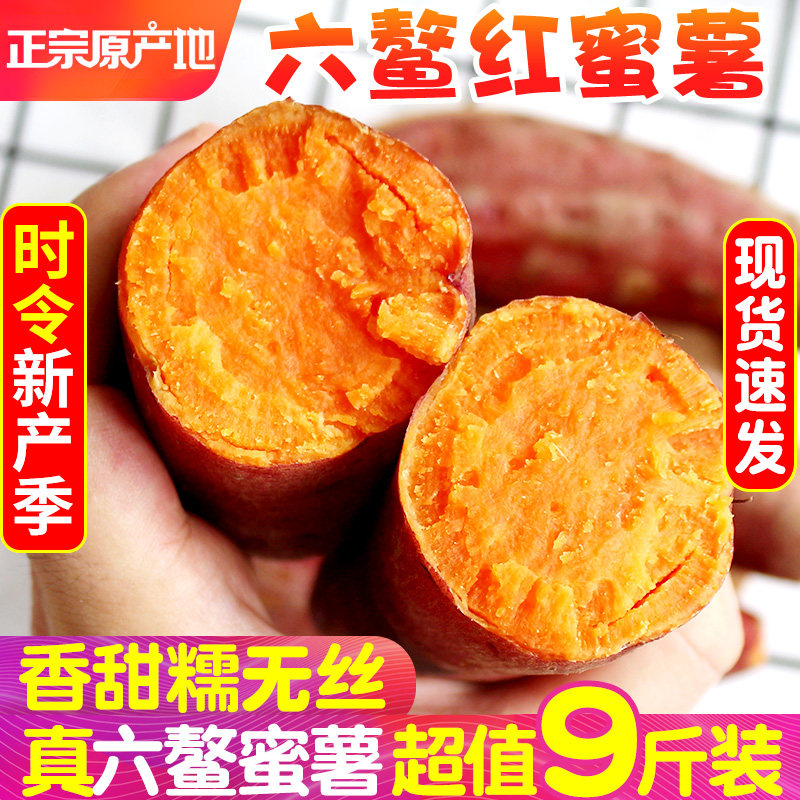 福建六鳌蜜薯9斤红薯新鲜地瓜农家自种沙地番薯红心红署红著山芋