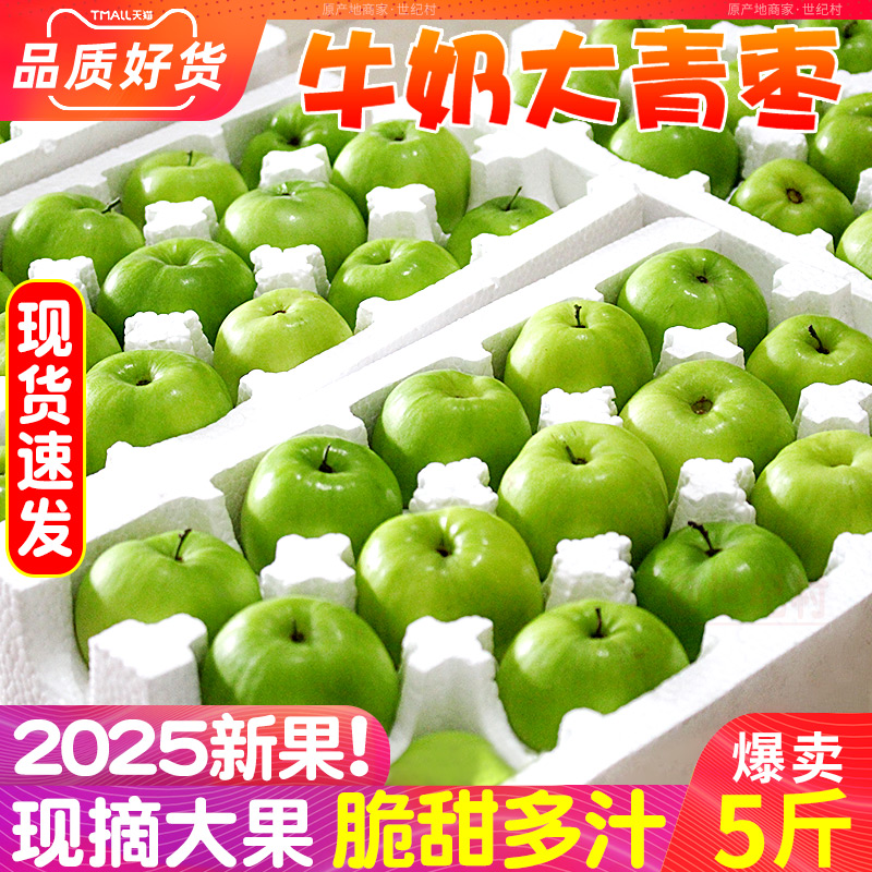 抢！现货福建牛奶大青枣当季水果